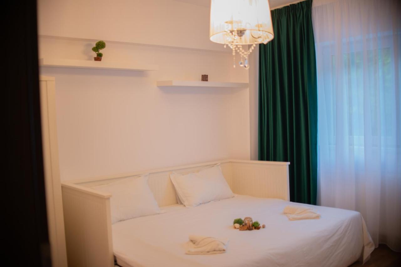 Forest Therapy Suite - Sub Padure Grand Comfort Brassó Kültér fotó