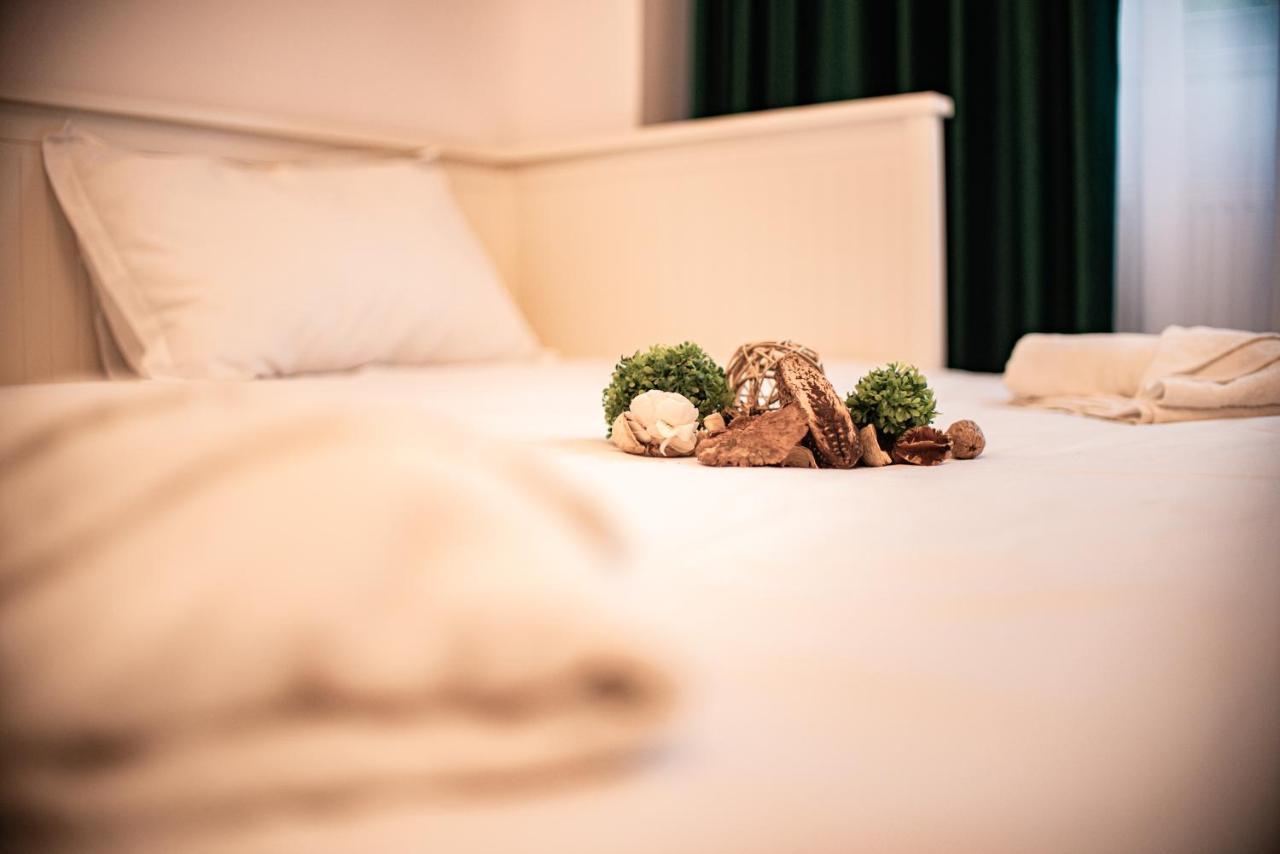 Forest Therapy Suite - Sub Padure Grand Comfort Brassó Kültér fotó
